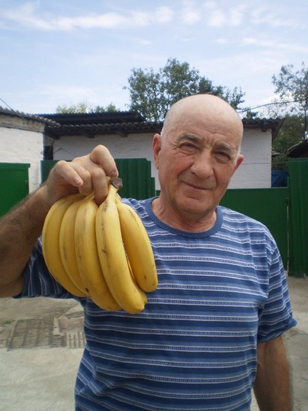Fruit