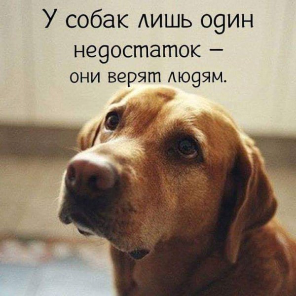FB IMG 1550832743252