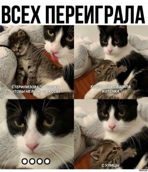 ))