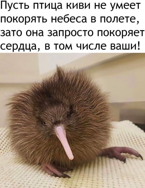 E9f908c1216c8f7180beaf12a4451ea8