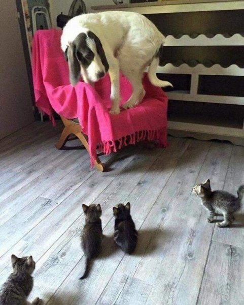 Oooooo