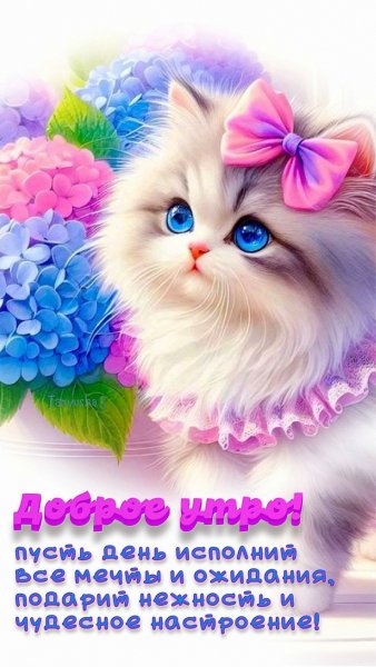 f754cc719bfb3b00d6fefbbe6c7