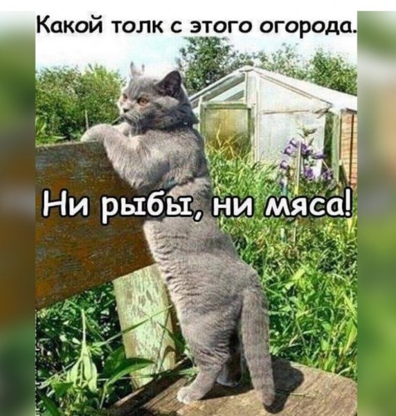 IMG 20240607 111846