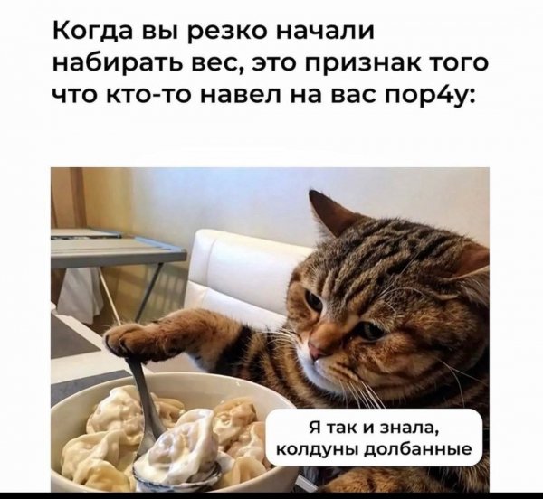IMG 20260818 154630 483