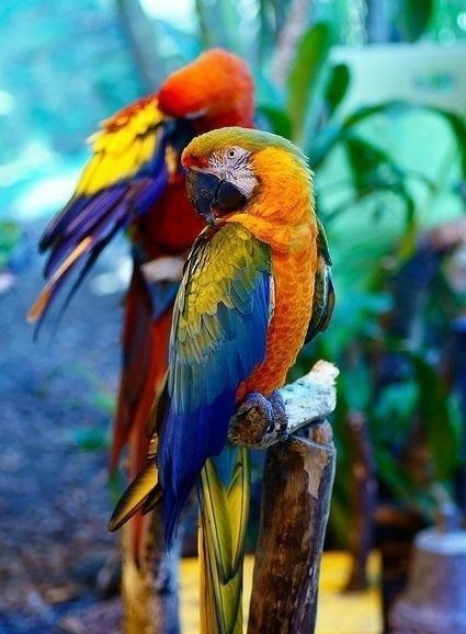 picture_298011861