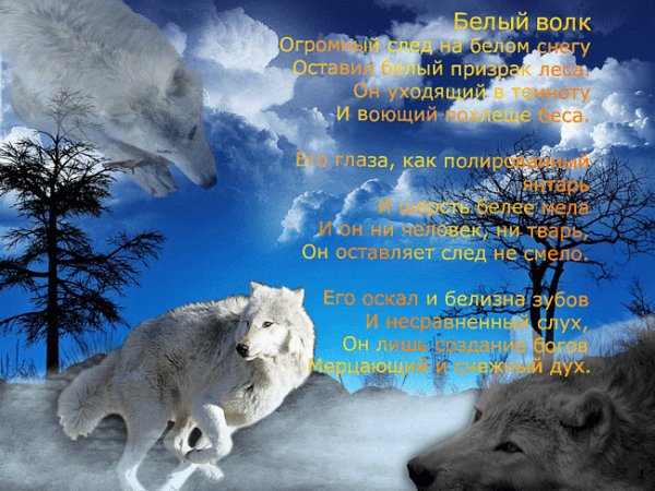 Белый