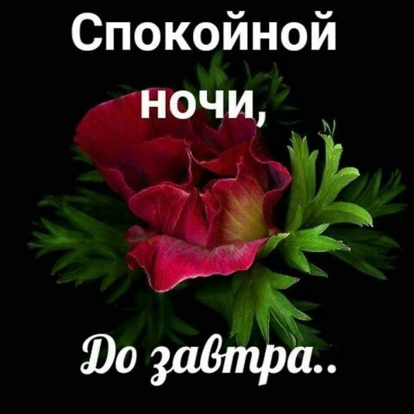 Встретимся завтра, друзья! Лёгкого утра вам!!!