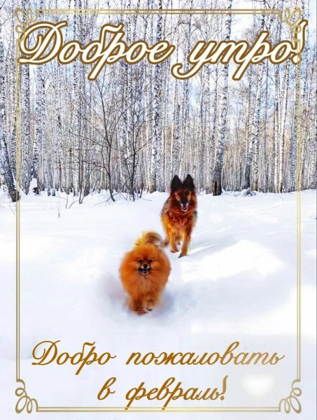 Доброе утро!