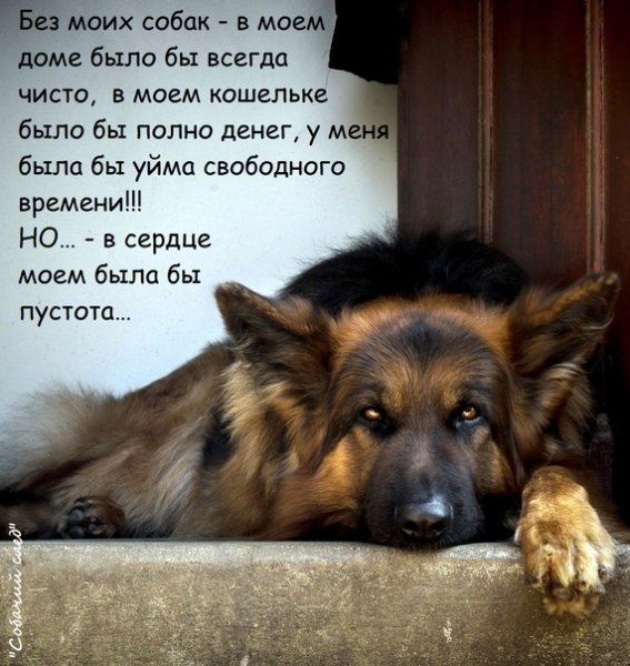 Так!