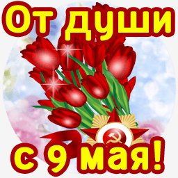 getImage(679)