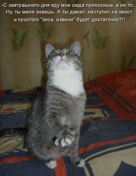Опаньки!