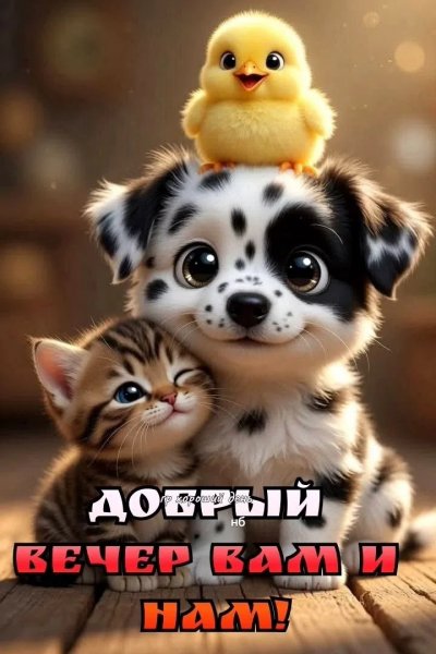 picture_416564013