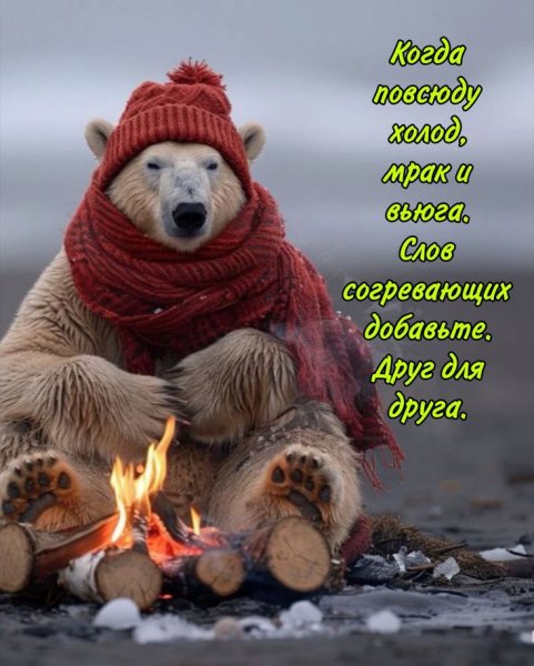 16e7825a51646df95faa28b1423aaf36
