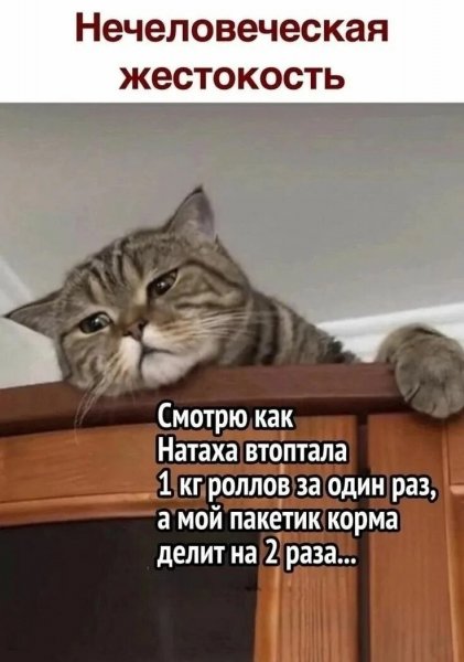 Печалька