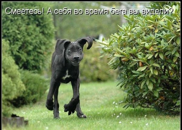 А???