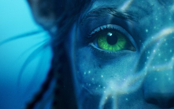 Avatar-the-way-of-water-2-hd 3840x2400