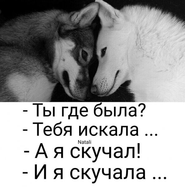 2B422F8C-A162-481B-BC76-8D88192AD20B