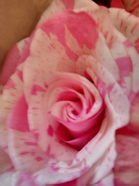 IMG-207d9d51d39bac54b69b6271a73f6667-V