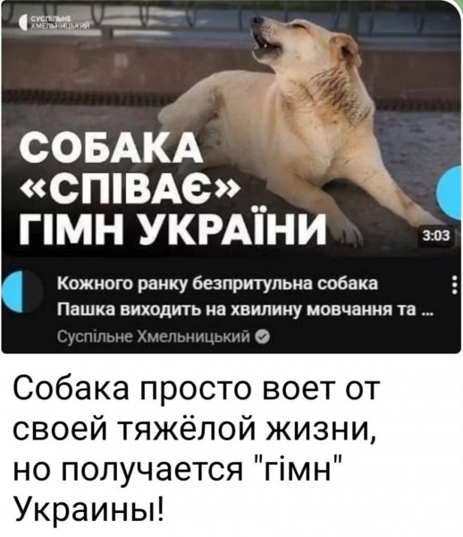 IMG 20260602 170003