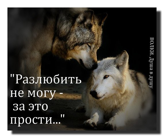Разлюбить