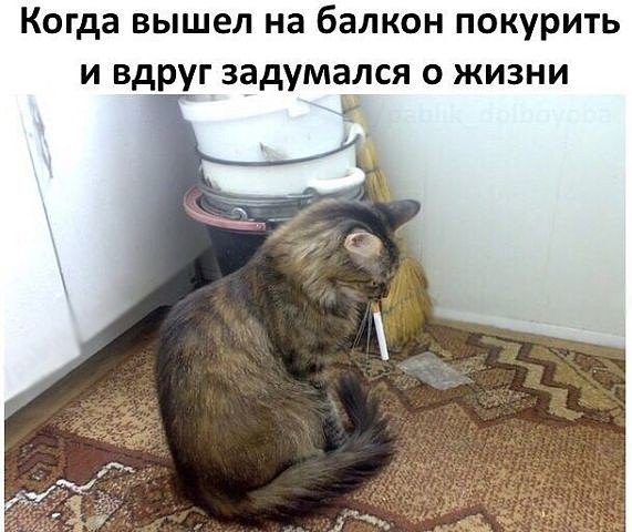 image (5)