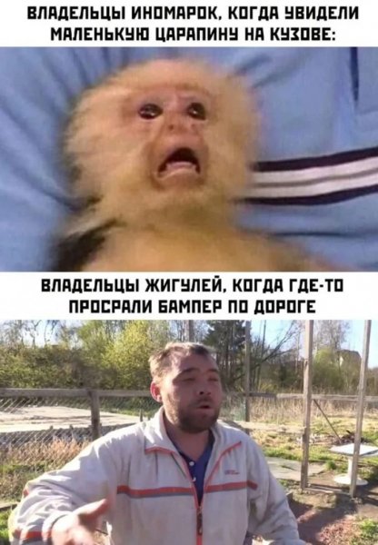 Жигули)