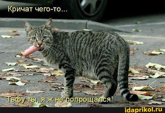 Я ж не попрощался!