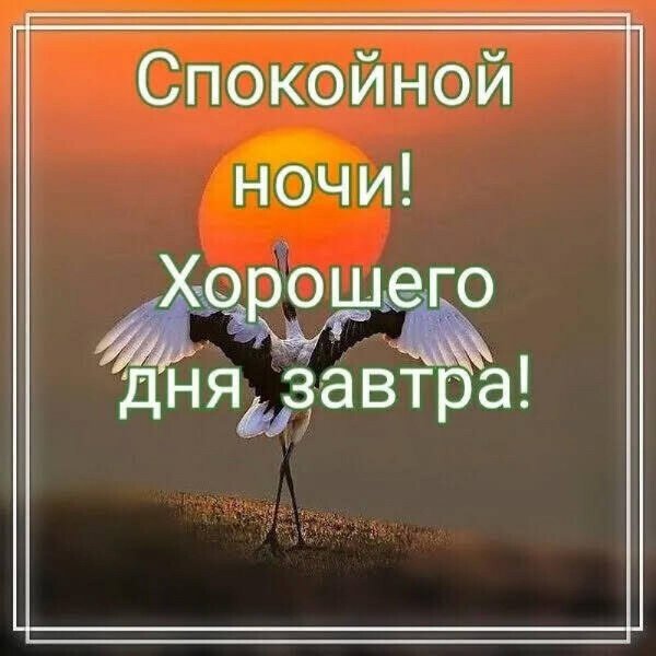 Хорошего дня завтра!