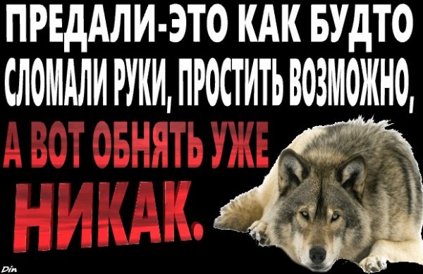 IMG 20190713 114004 029