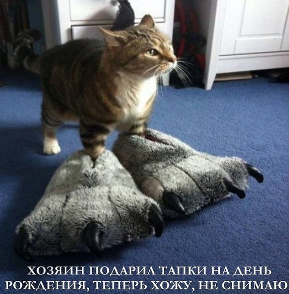 Не снимаю