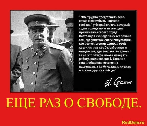 Cвобода