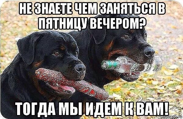 Да! ))