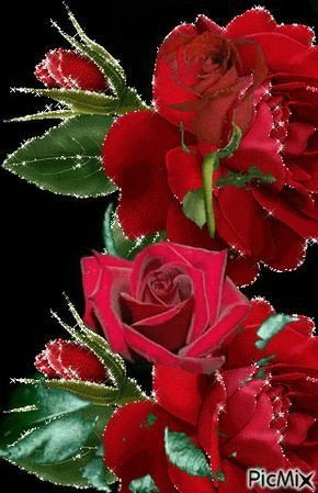 4fc5ea46d9689a1a7340c1b5ee1f361e