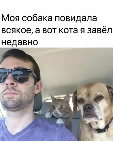 Завёл недавно