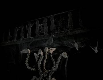 H280 51548774
