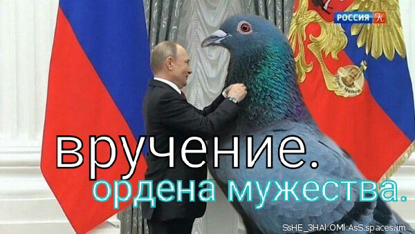 Поменяй лицо 2 bDlKuo
