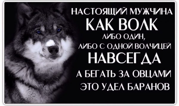 image (2)