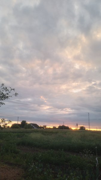 picture_414370894