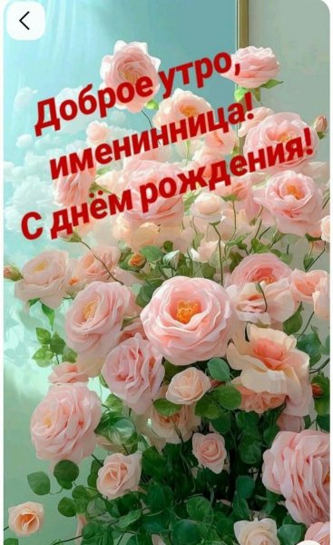 C54a1054e16f1aaaff2a0646e528e4fb