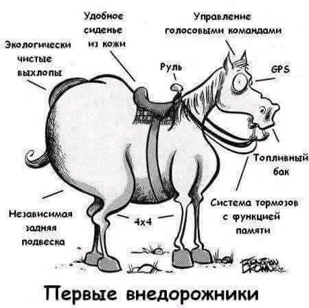 Компоновка лошади