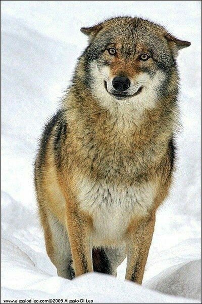 6b61e34f788674c5c3831ce6e994c0a2