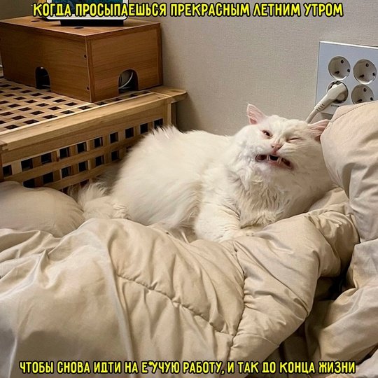 picture_392757490