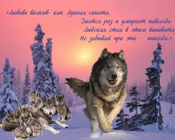 image (2)