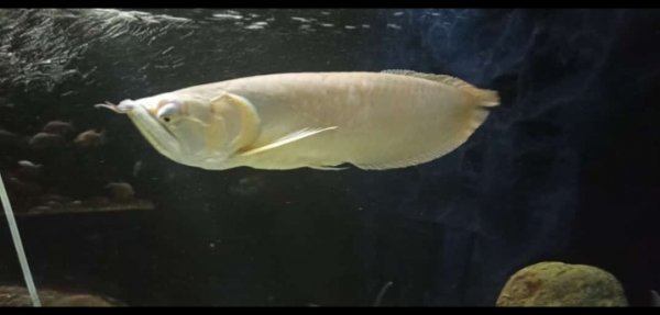 IMG 20230816 170026