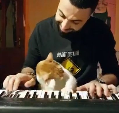 Музыка нас связала