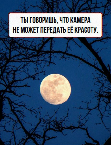 LTiTE4Fx6qB4ylH0EgekPFr6ytAj9Ls8A3tK5nKwEWBGFN2Z71QC7xRlGxFk