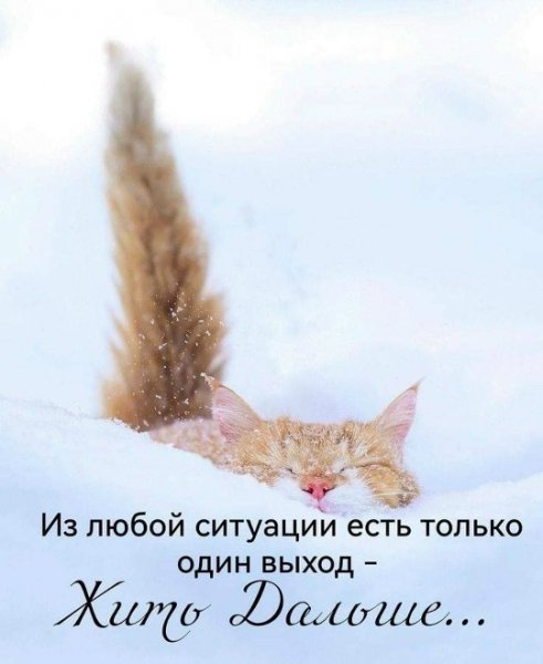 NkfMML0A5P9wAsPGSon-UQ TRsfqTJlQgQs8Tr-fW-4xHDAxny8afsLqngAp