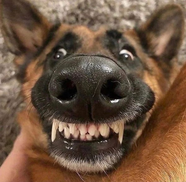 27PIknbvqIk