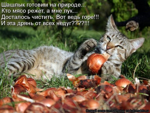 Вот ведь горе!!!