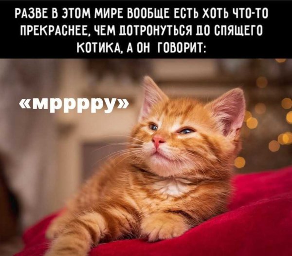 Это точно!